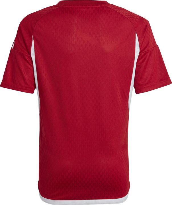 Image du produit adidas Tiro 23 Club Maillot Enfants (152)