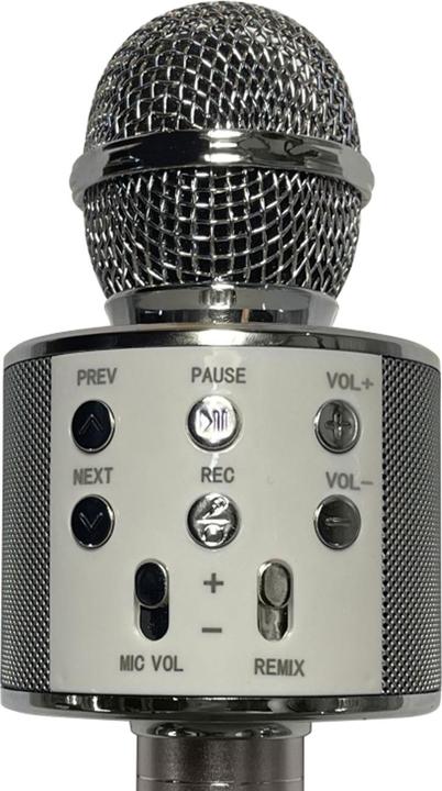 Image du produit Benson Electric Microphone karaoké sans fil