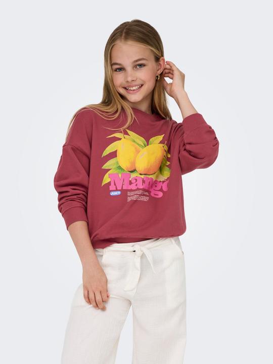 Produktbild Only KOGPHILEA Sweatshirt Sweatshirt (110)