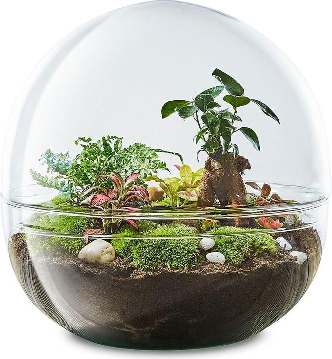 Produktbild Green Bubble Biosphere 3 (27.50 cm)