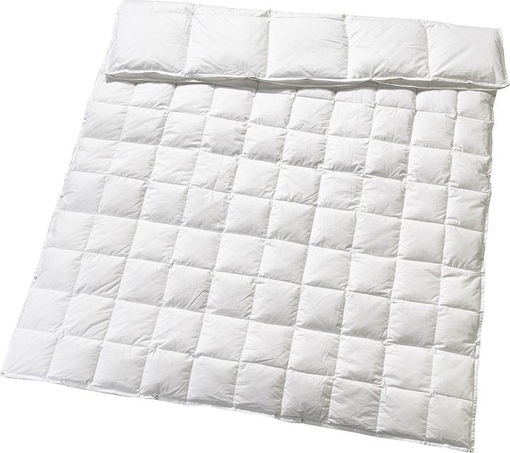 Actual product image Feelings by billerbeck Jorgana 4 seasons (1250 g, 200 x 210 cm)