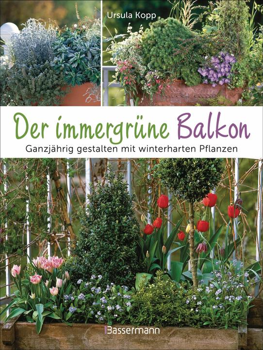 Image du produit Der immergrüne Balkon. Ganzjährig gestalten mit winterharten Pflanzen (Allemand, Ursula Kopp, 2024)
