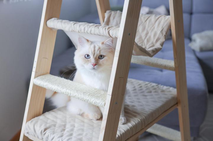 Produktbild Kerbl Kratzbaum Ladder für Katzen (134 cm, Beige)