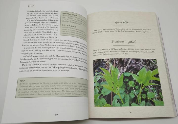Actual product image Meine Wildkräuter (German, Martina Fischer, Dorothea Steinbacher, 2023)