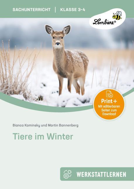 Produktbild Tiere im Winter. Grundschule, Sachunterricht, Klasse 3-4 (Deutsch, B. Kaminsky, Martin Bannenberg, 2024)