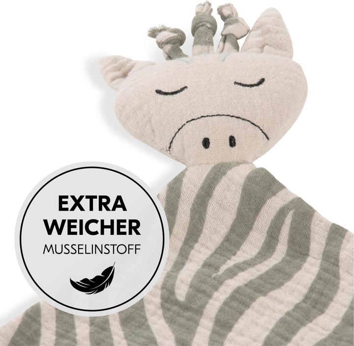 Image du produit Hauck Cuddle N Play Zebra Sage