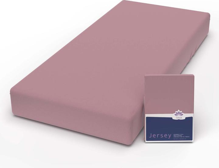 Immagine prodotto Lotus Bettwaren Jersey Fix Comfort (180 x 200 cm)