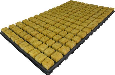 Produktbild Cultilene Stecklings-Tray, 150 Stk à 2.5 x 2.5cm