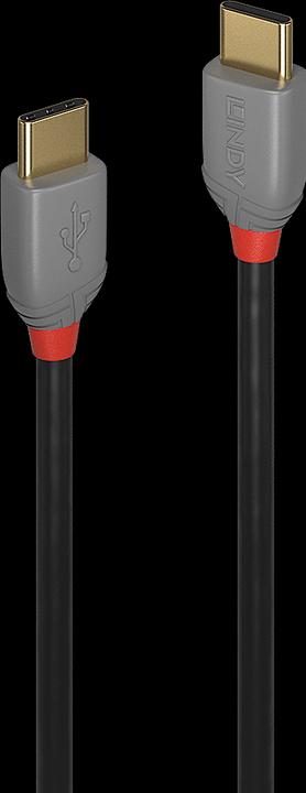 Immagine prodotto Lindy Anthra Line (0.50 m, USB 2.0)