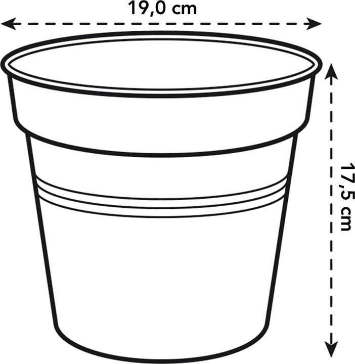Image du produit Elho Green Basics (19 cm)