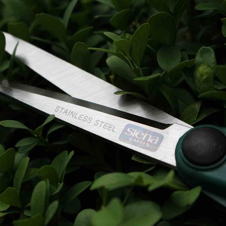 Actual product image Siena Garden Siena Topiary Shears CB2100 Length: 27 cm, with soft grip