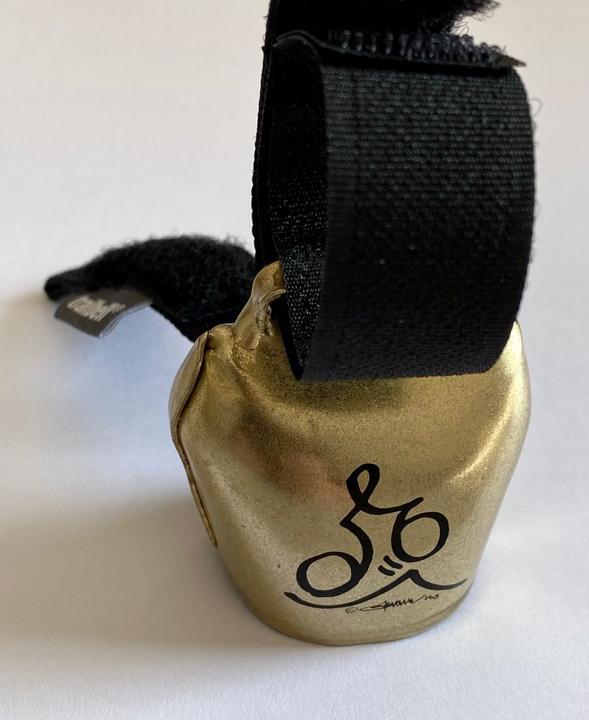 Trailbell Glocke mit schwarzem Druck (Biker) gold