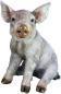 Actual product image Decorative figure pig (25 x 19 x 25.5 cm)