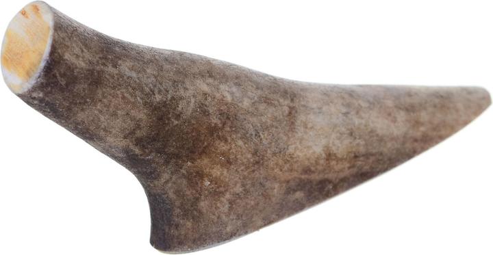 Actual product image 4Dogs Original 4DOGS - Fallow deer antlers (hard) - S