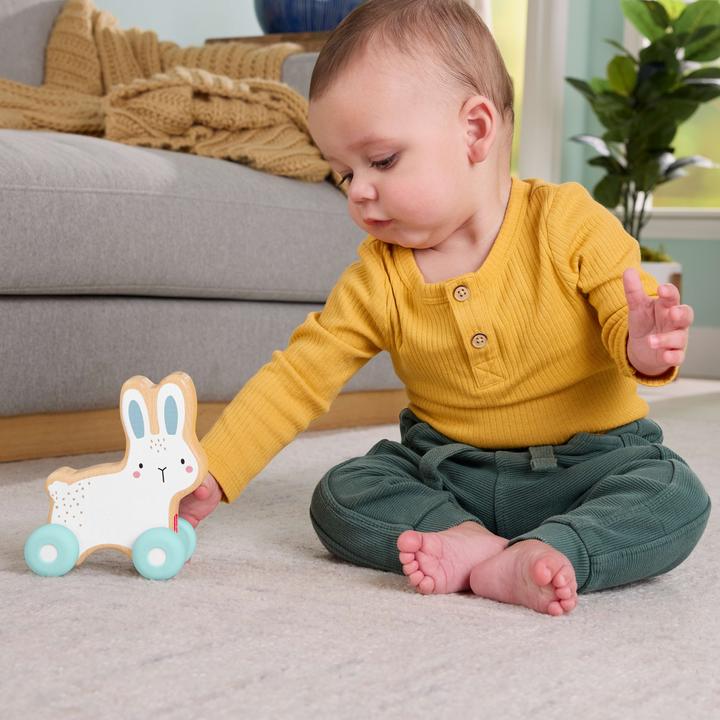 Actual product image Fisher-Price Wooden sliding bunnies