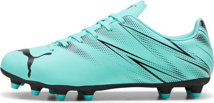 Produktbild Puma Attacanto FG/AG (42)