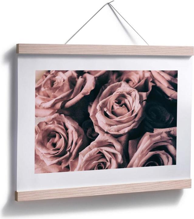 Immagine prodotto Trenddeko Rose rosa in stile vintage (30 x 24 cm)