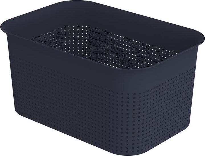 Rotho Box 4,5 l BRISEN (1 x)