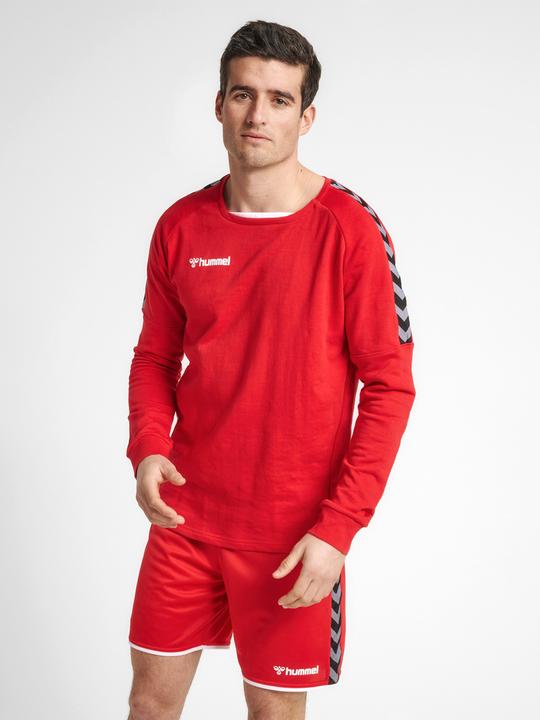 Actual product image hummel Authentic Training Sweat (S)
