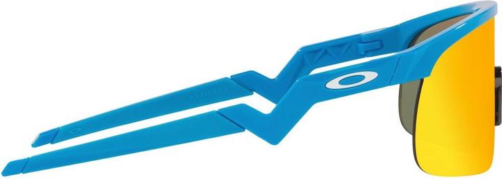 Produktbild Oakley Resistor (Blau, prizm ruby)