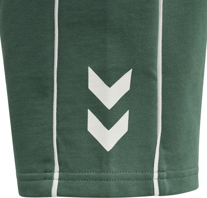 Image du produit hummel Hmldexter Shorts (122)