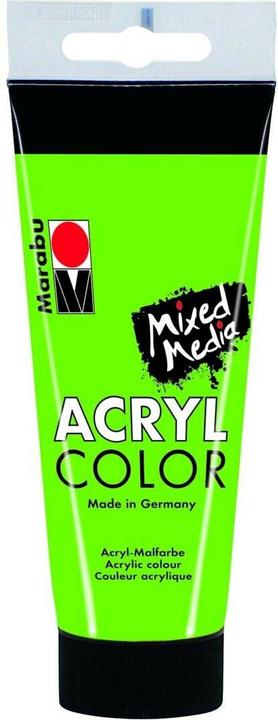 Chlorophyll