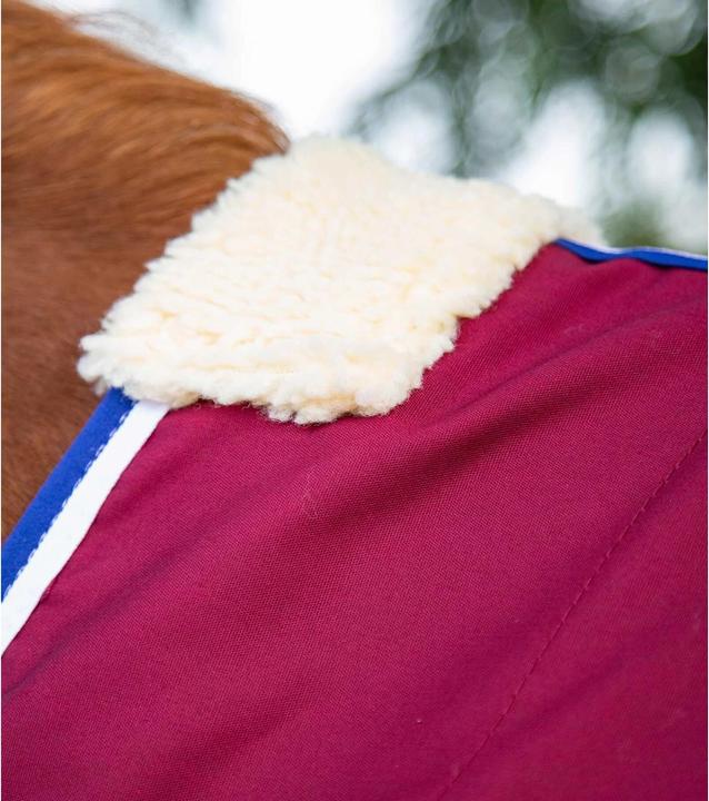 Actual product image Premier Equine Stratus (152 cm)