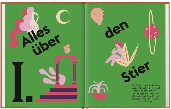 Actual product image Stier (German, Stella Andromeda, 2021)