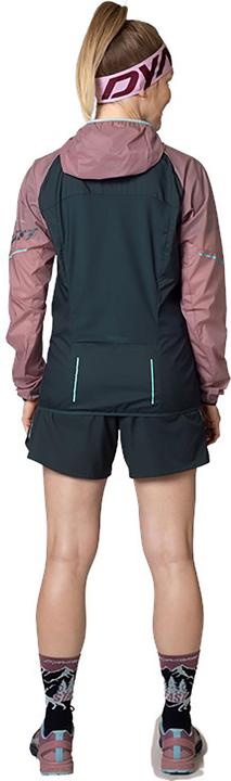 Produktbild Dynafit Alpine Wind Jacke (38, M)