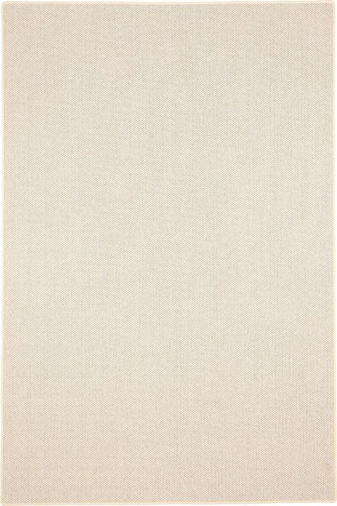 Produktbild Bentzon Natur Flachgewebe Teppich (200 x 250 cm)