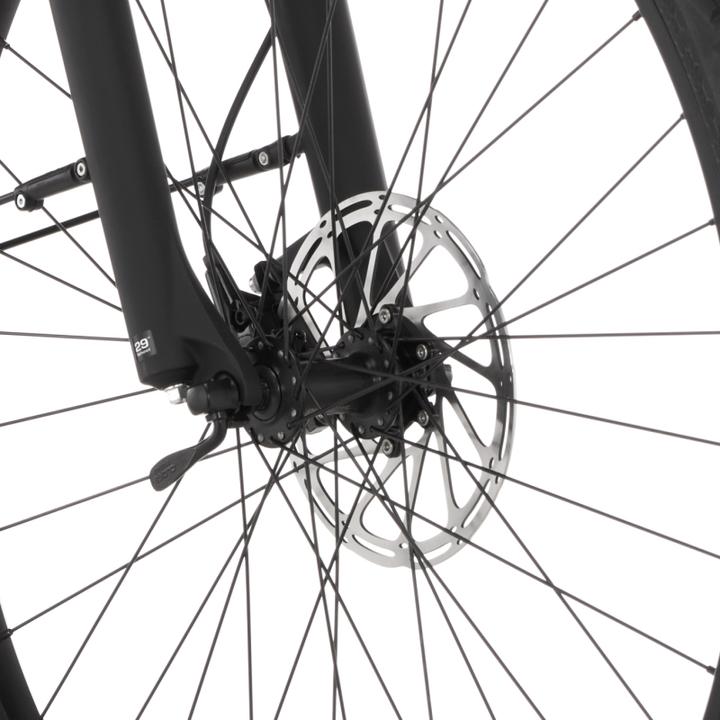 Immagine prodotto Fischer Bicicletta da trekking Terra 5.0i (46 cm)