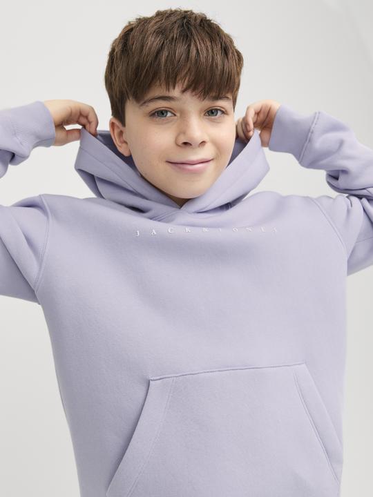 Produktbild Jack & Jones Jjestar Jj Sweat Hood Noos Jnr (140)