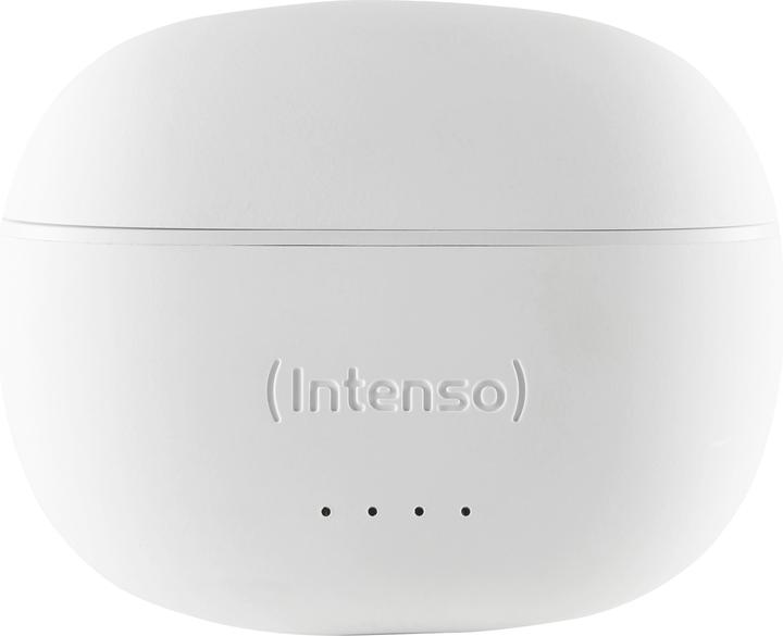 Immagine prodotto Intenso Germogli bianchi T302A (ANC, 2 h, Cablato)