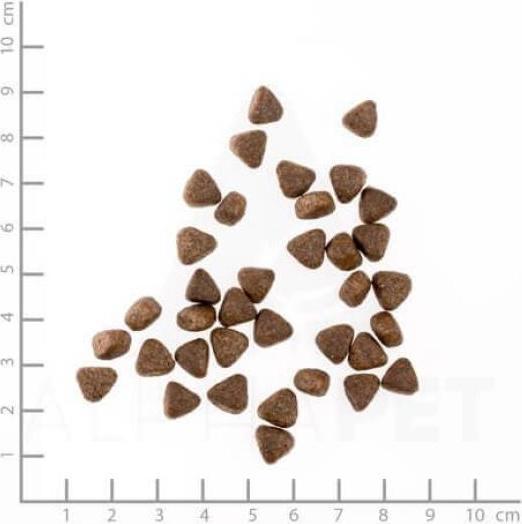 Produktbild Wolfsblut Cold River (Junior, 1 Stk., 12500 g)