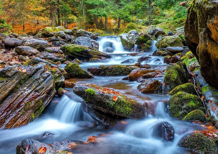 Immagine prodotto Enjoy Puzzle ENJOY-1281 - Ruscello della foresta in autunno, puzzle da 1000 pezzi (1000 pezzi)