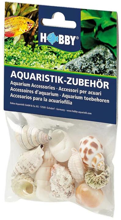 Productafbeelding Hobby Aquarium Decoratie Slak Schelpen Zeeschelpen Set M 10 stuks (Andere objecten)