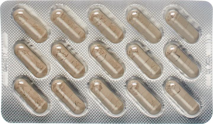 Produktbild Dr. Dünner Teufelskralle Kaps (60 Stück, Kapseln, 67 g)