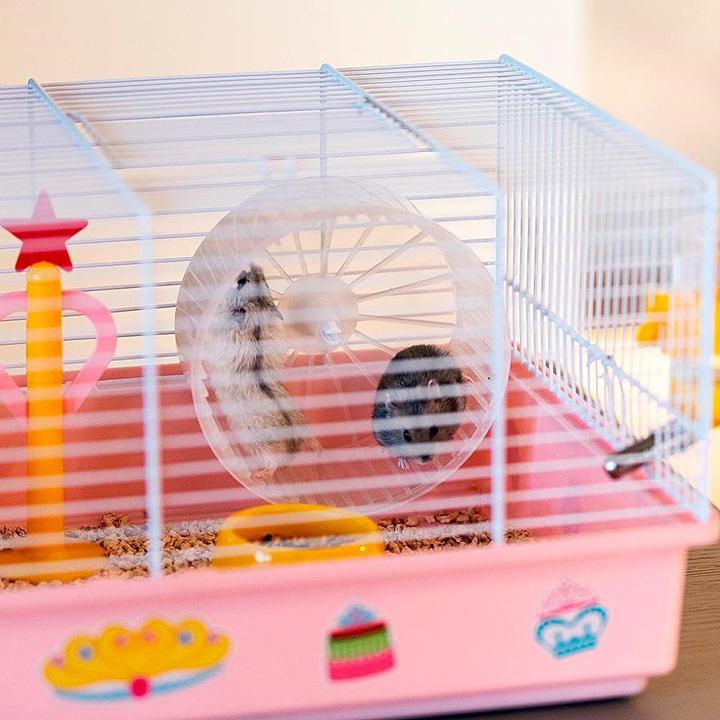 Actual product image Ferplast Hamster 9 Princess - Cage