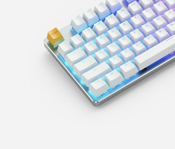 Immagine prodotto Glorious PC Gaming Race PC Gaming Race GMMK Full Size White Ice Edition - Gateron-Brown, USA-Layout (US, Cablato)