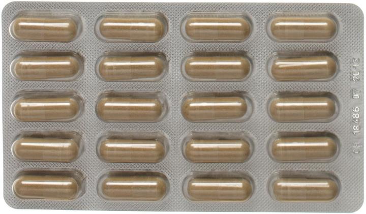 Produktbild Alpinamed Grüntee Kapseln (1 Stück, Kapseln, 112 g)