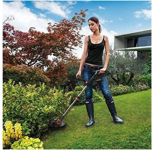 Actual product image Worx WG163E.9 (Trim line)