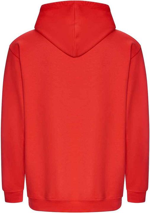 Image du produit Awdis - Sweat à capuche COLLEGE - Homme (XL)