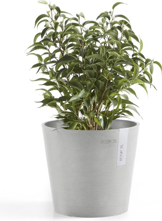 Produktbild Ecopots Amsterdam Mini (17 cm)