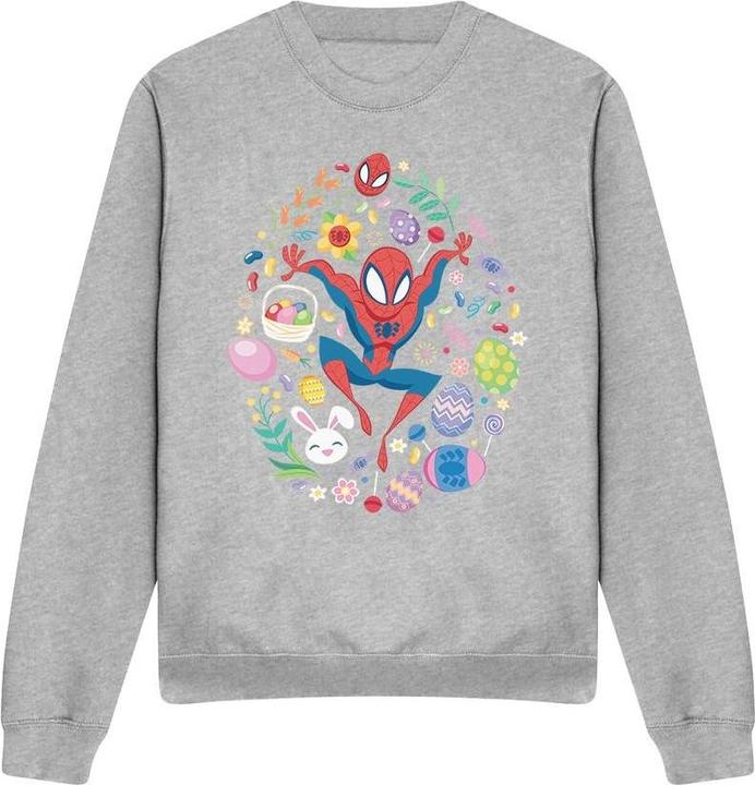 Produktbild Spiderman Sweatshirt (XL)
