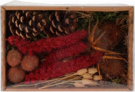 Image du produit Koopman Fleurs décoratives Fleurs séchées