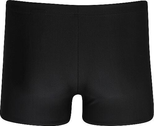 Immagine prodotto Speedo Medley Logo Aquashort (38)