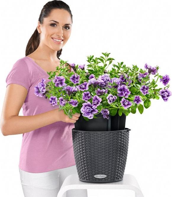 Produktbild Lechuza Nido Cottage (27 cm)