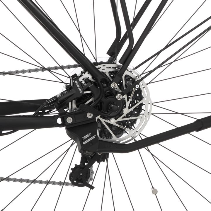 Immagine prodotto Fischer Bicicletta da trekking Terra 5.0i (46 cm)