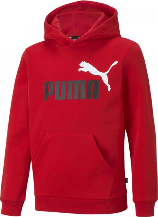 Actual product image Puma ESS+ 2 Col Big Logo Hoodie FL B (128)