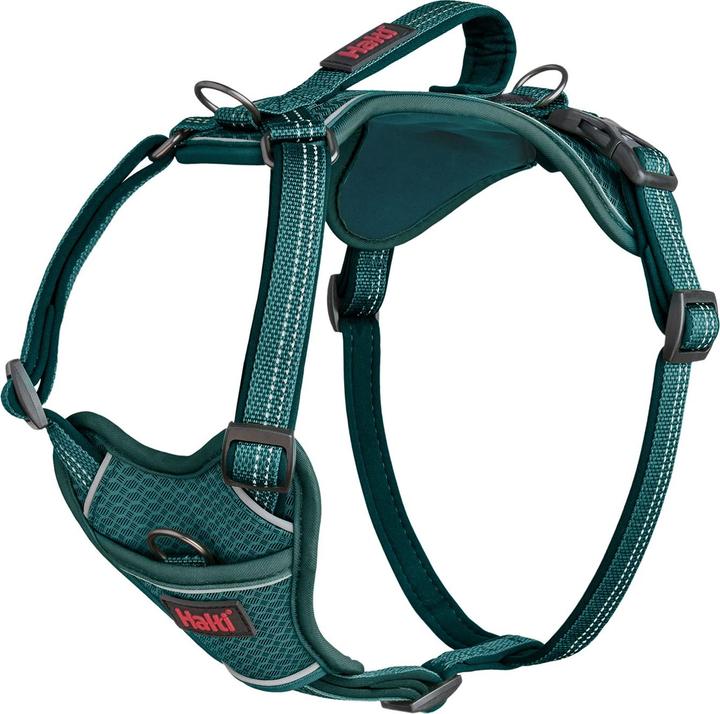 Immagine prodotto Halti Anatomy Pettorina per Cani (L, Cane)